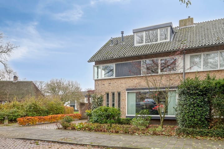 Foto 43 van Icaruslaan 28