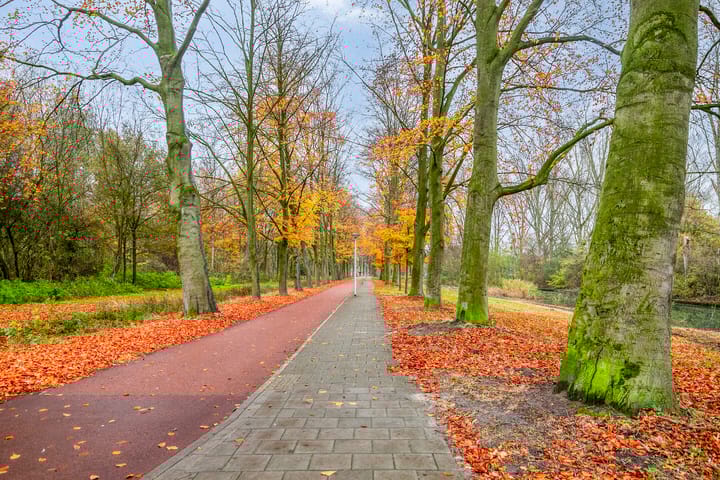 Foto 45 van Icaruslaan 28