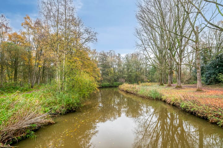 Foto 46 van Icaruslaan 28