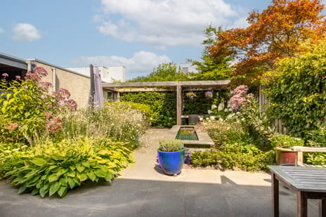 Klaverblauwtje 4 tertiary image