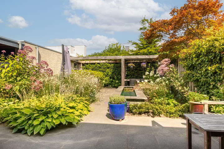 Photo 3 of Klaverblauwtje 4