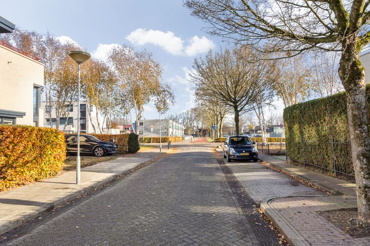 Foto 32 van Klaverblauwtje 4