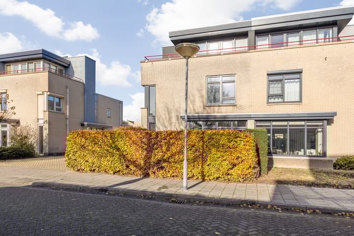 Foto 33 van Klaverblauwtje 4