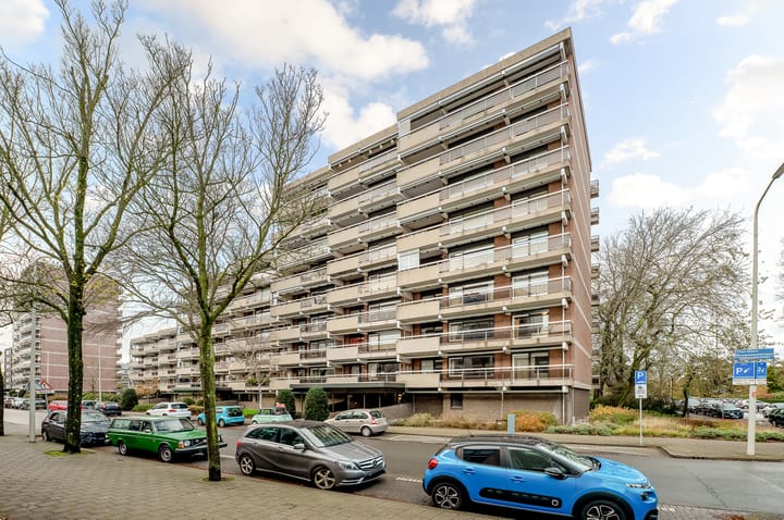 Foto 31 van Theo Mann-Bouwmeesterlaan 602