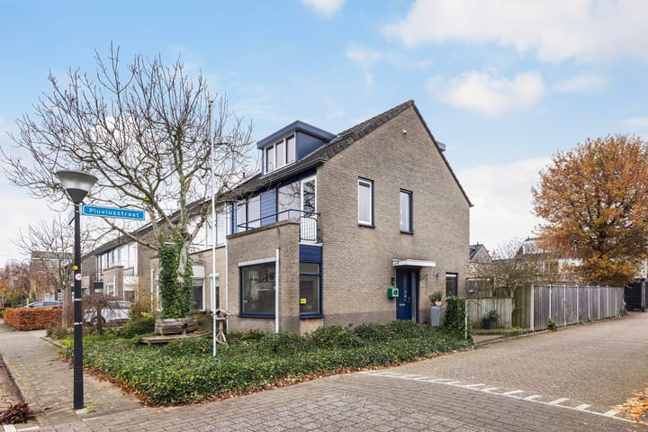 Pluviusstraat 1