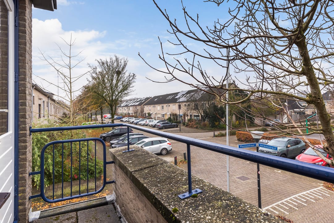 Photo 17 of Pluviusstraat 1