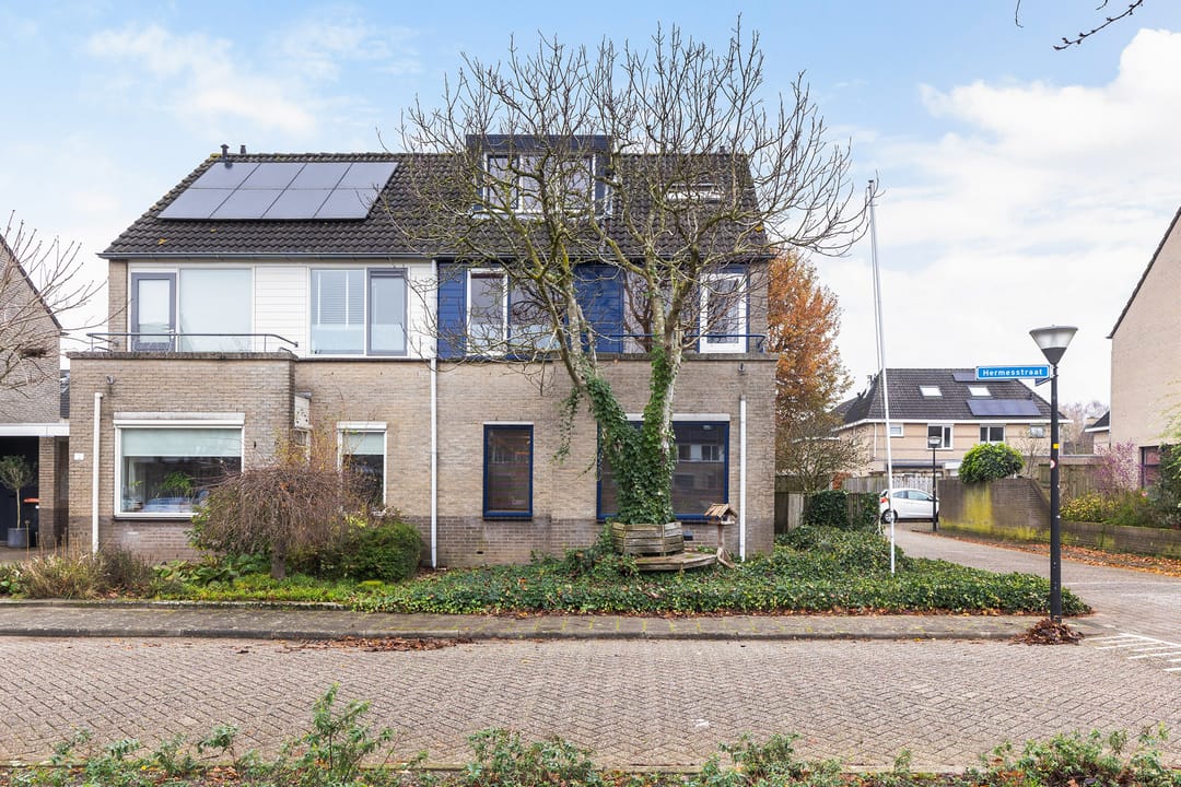 Photo 37 of Pluviusstraat 1