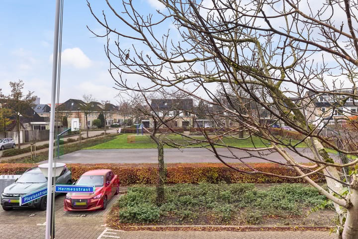 Foto 38 van Pluviusstraat 1