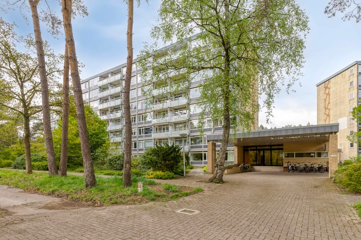 Eper Veste 58 main image