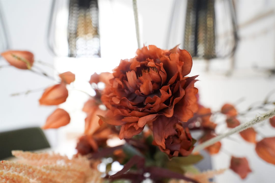 Foto 17 van Meerkoetstraat 26