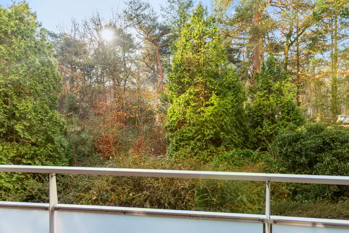 Photo 24 of Eper Veste 58