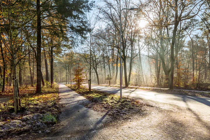 Photo 29 of Eper Veste 58