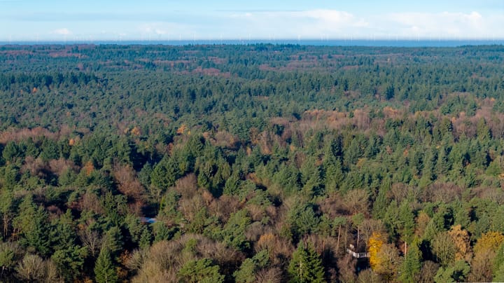 Photo 30 of Eper Veste 58