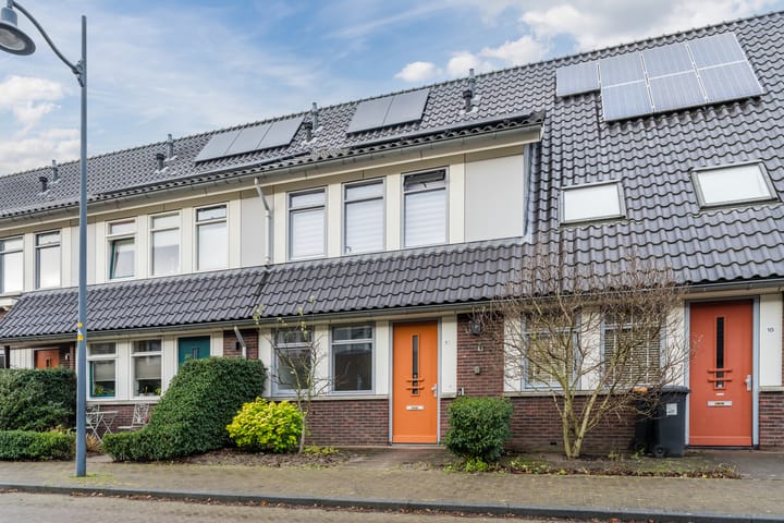 Foto 5 van Dagpauwoog 16