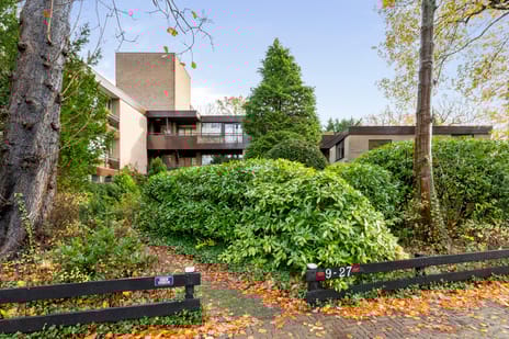 Nicolaas Beetslaan thumbnail