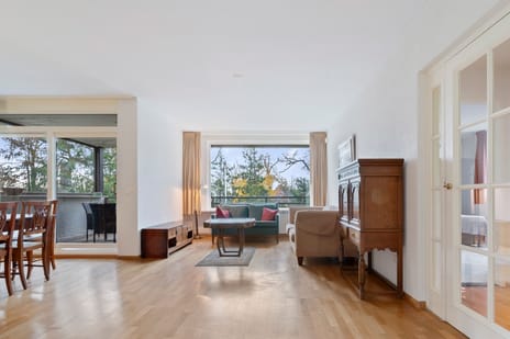 Nicolaas Beetslaan 17 secondary image