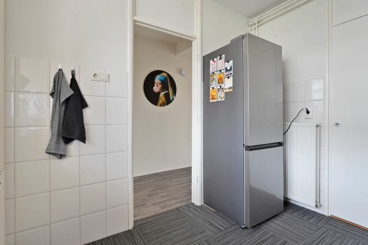 Foto 11 van Frerikshuislaan 3