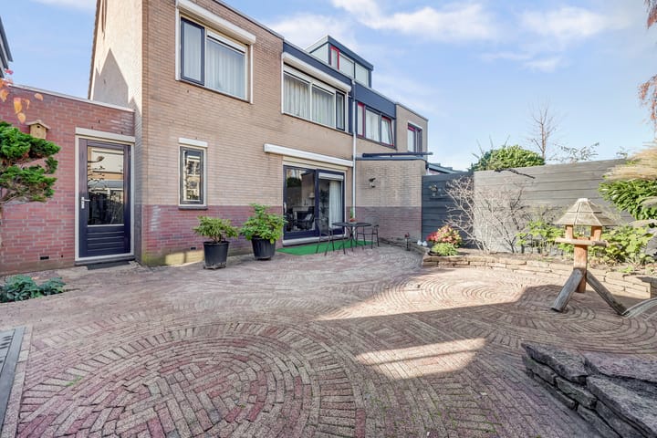 Foto 2 van Mantelmeeuw 14