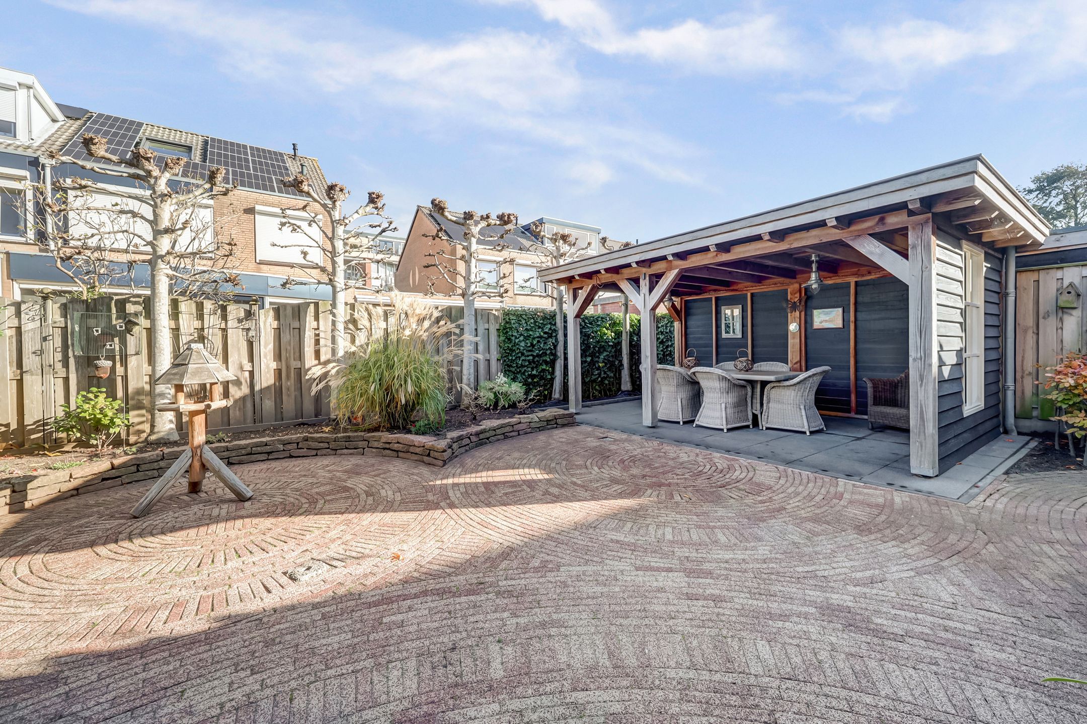 Foto 3 van Mantelmeeuw 14