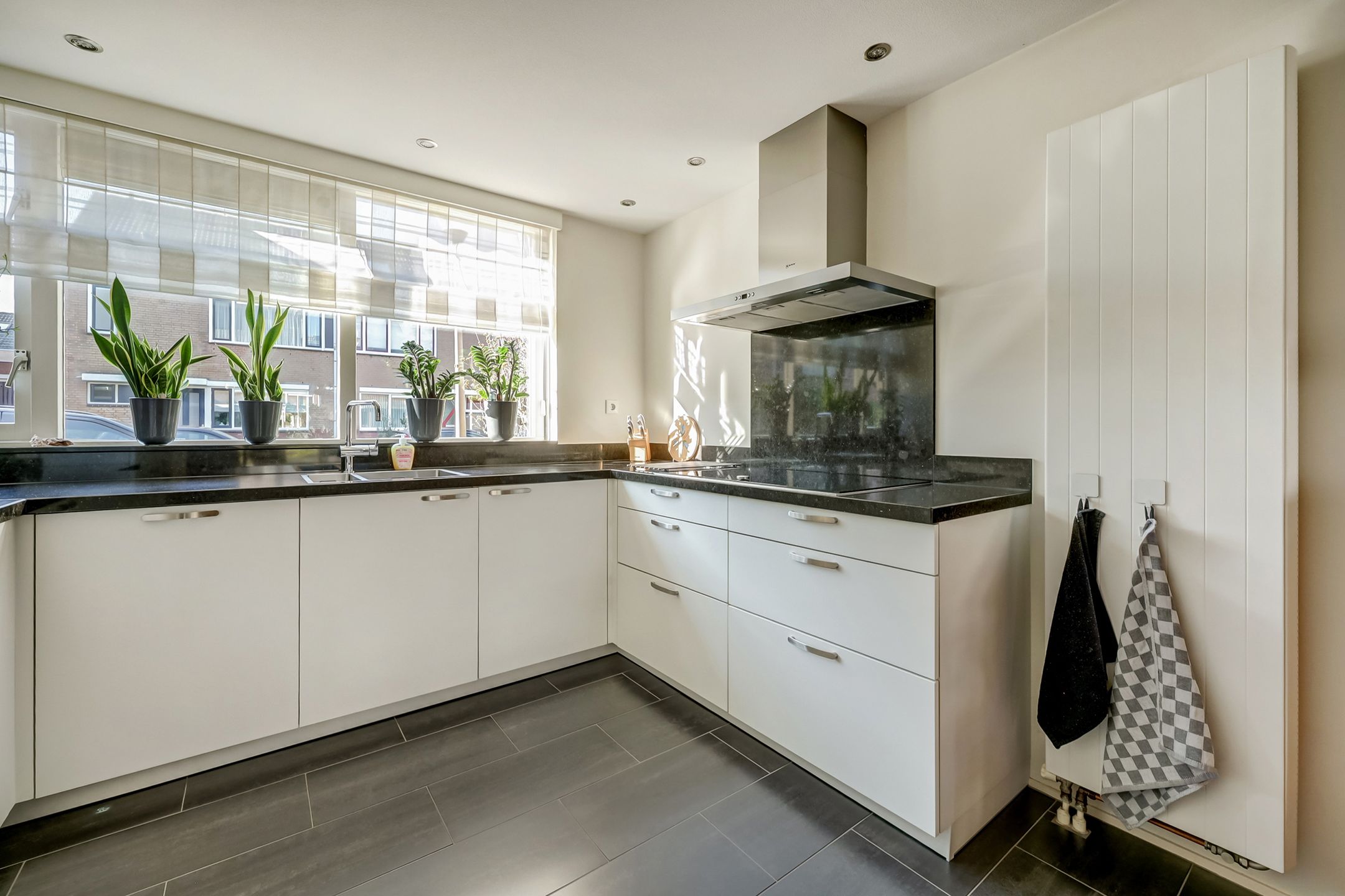 Foto 6 van Mantelmeeuw 14