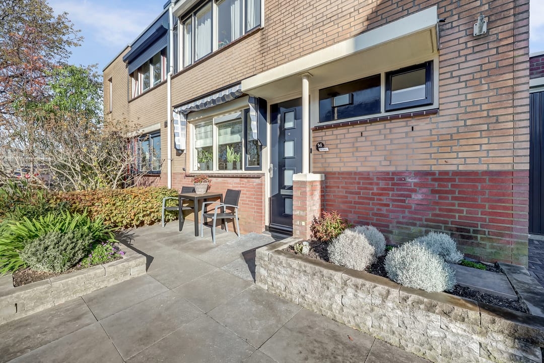 Foto 7 van Mantelmeeuw 14