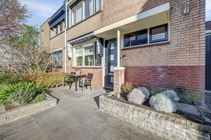 Foto 7 van Mantelmeeuw 14