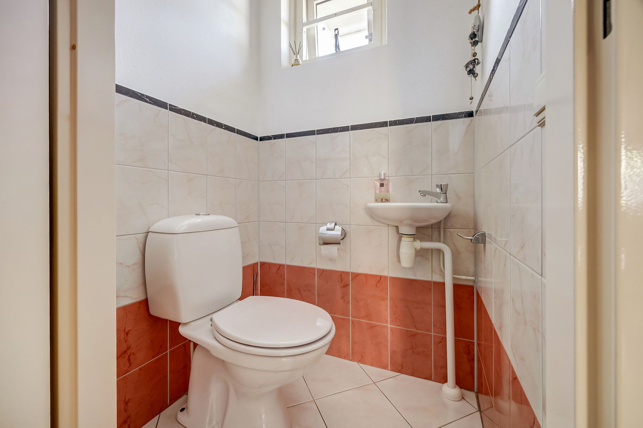 Foto 9 van Mantelmeeuw 14