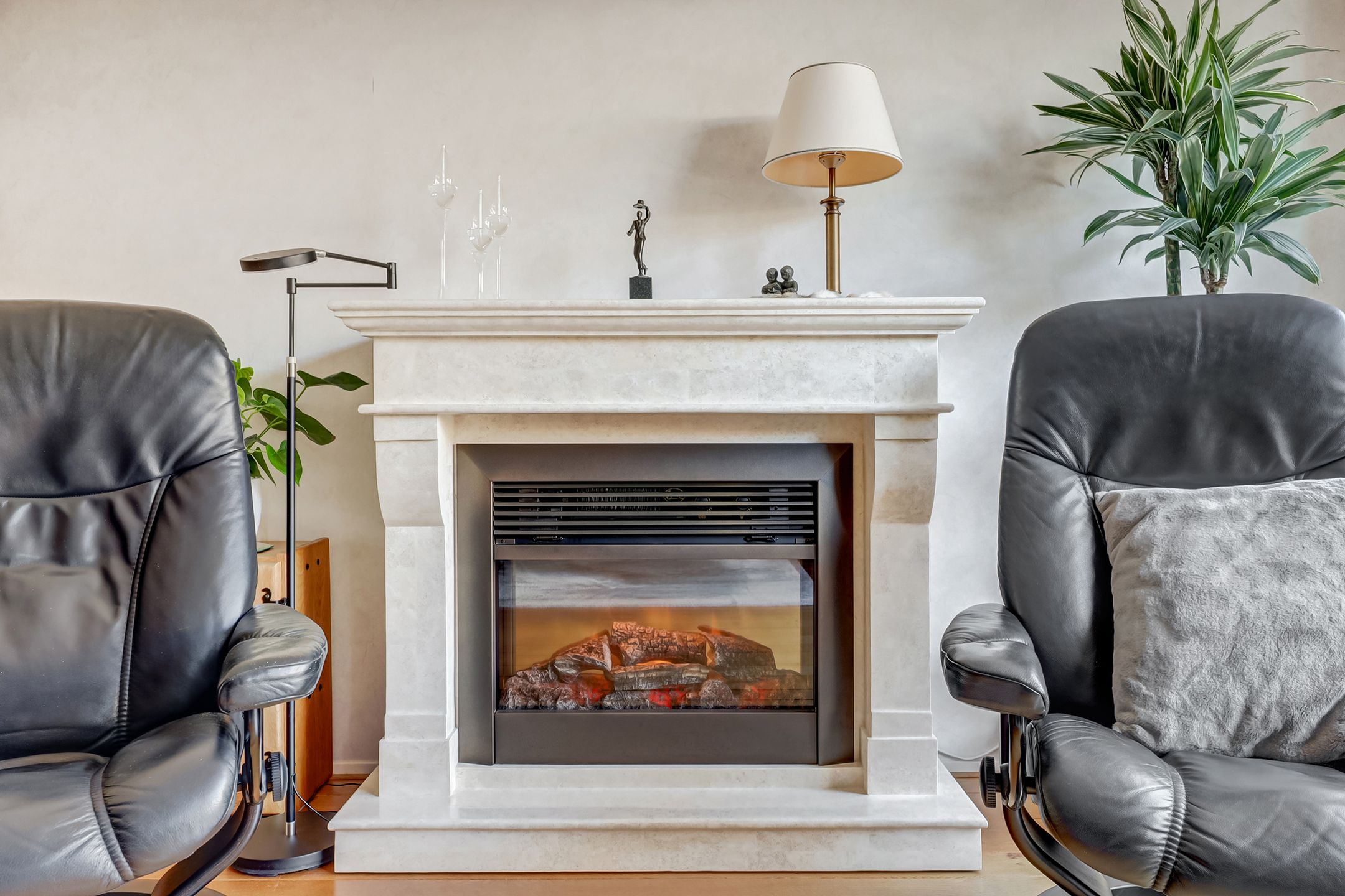 Foto 12 van Mantelmeeuw 14