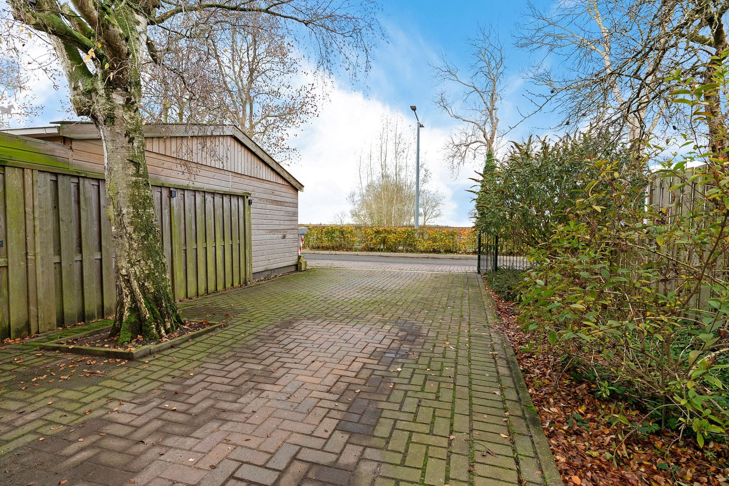 Foto 40 van Henric de Cranestraat 105