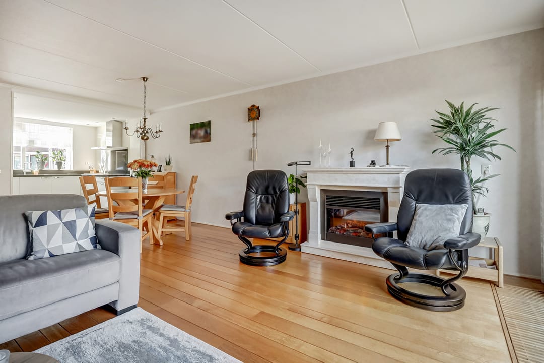 Foto 13 van Mantelmeeuw 14