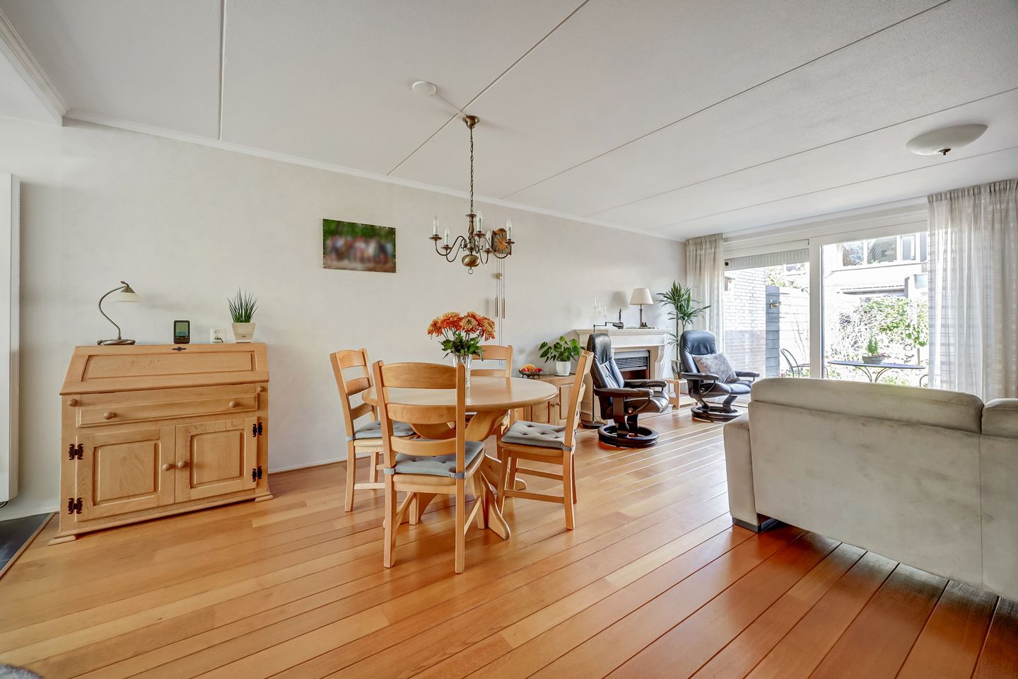 Foto 14 van Mantelmeeuw 14