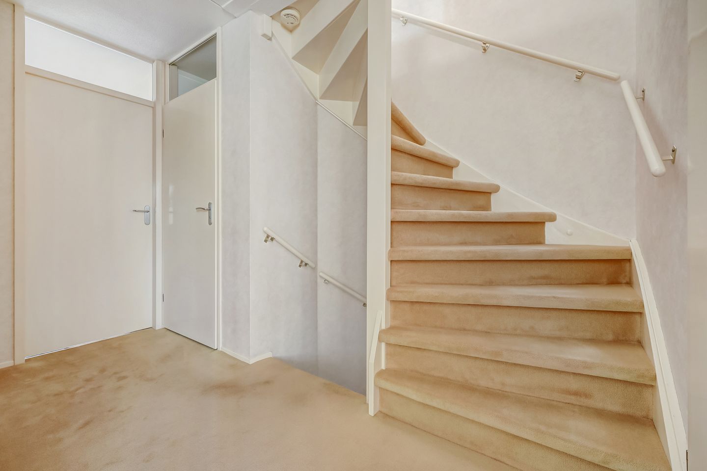 Foto 20 van Mantelmeeuw 14