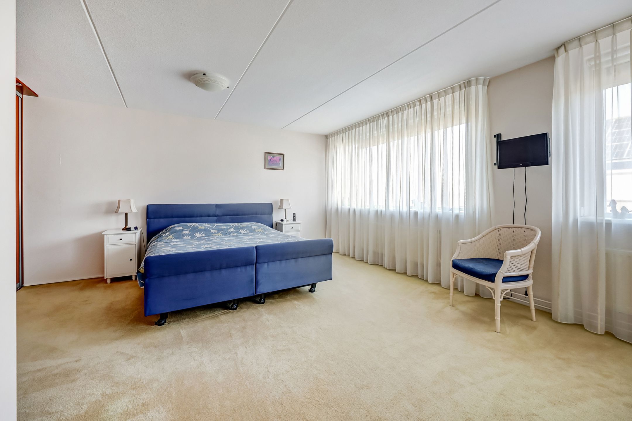 Foto 21 van Mantelmeeuw 14