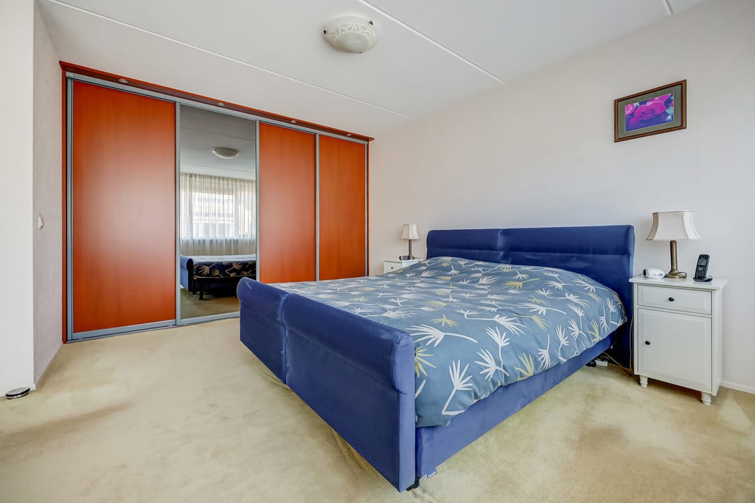 Foto 22 van Mantelmeeuw 14