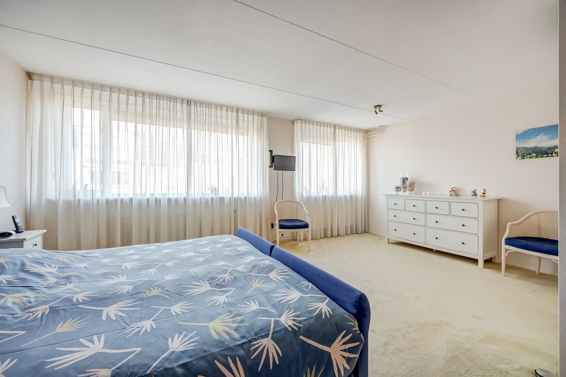 Foto 24 van Mantelmeeuw 14