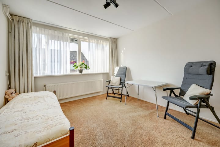 Foto 26 van Mantelmeeuw 14