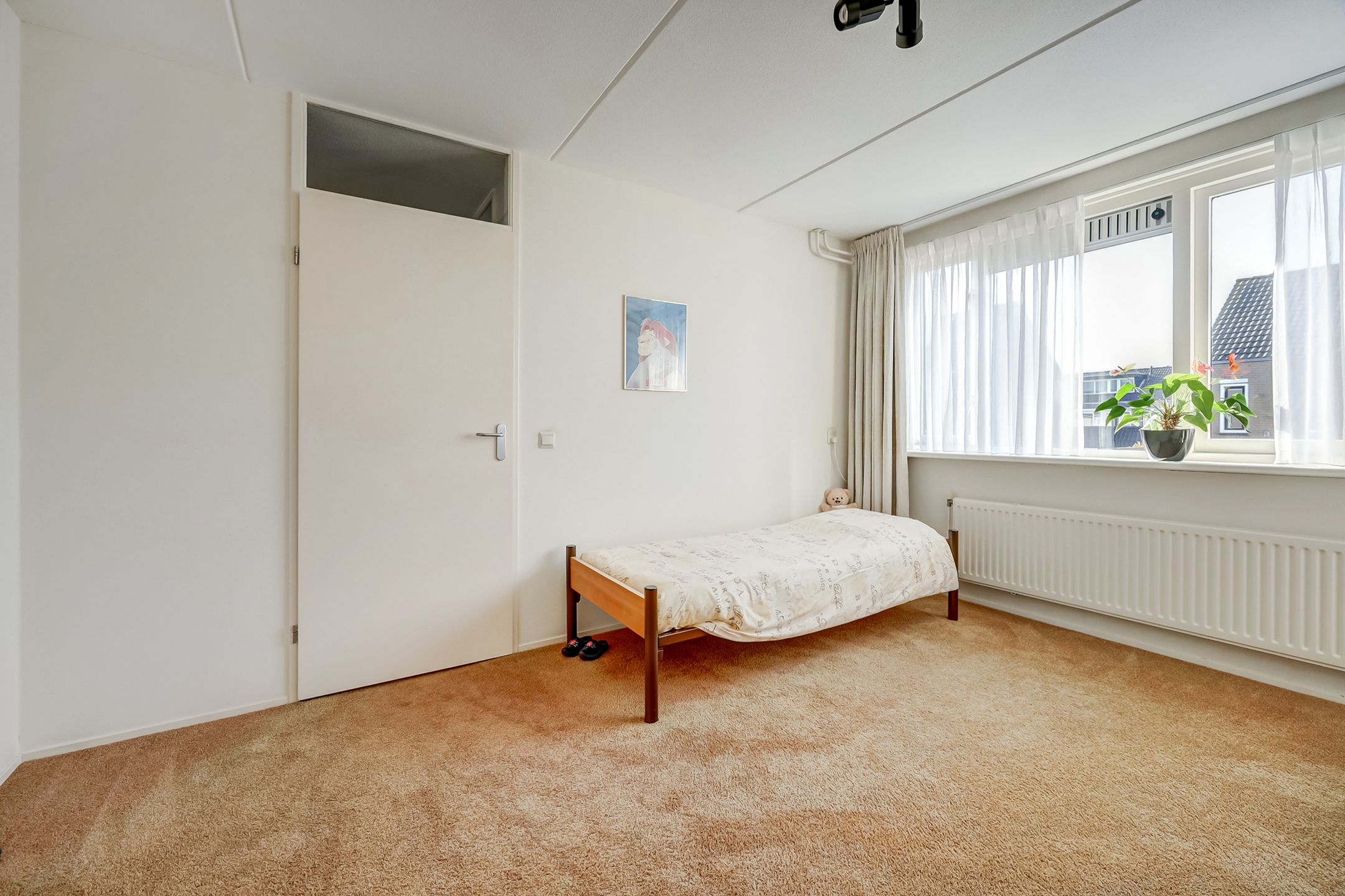 Foto 27 van Mantelmeeuw 14