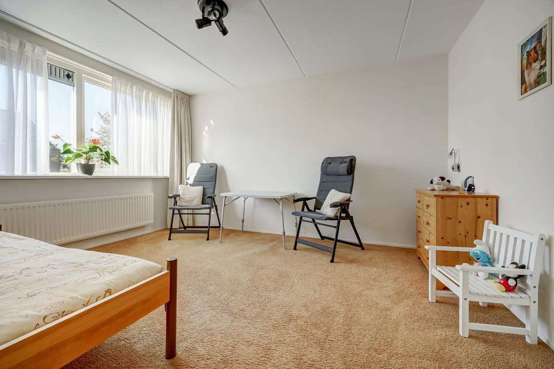 Foto 28 van Mantelmeeuw 14