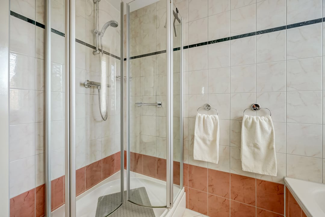 Foto 32 van Mantelmeeuw 14