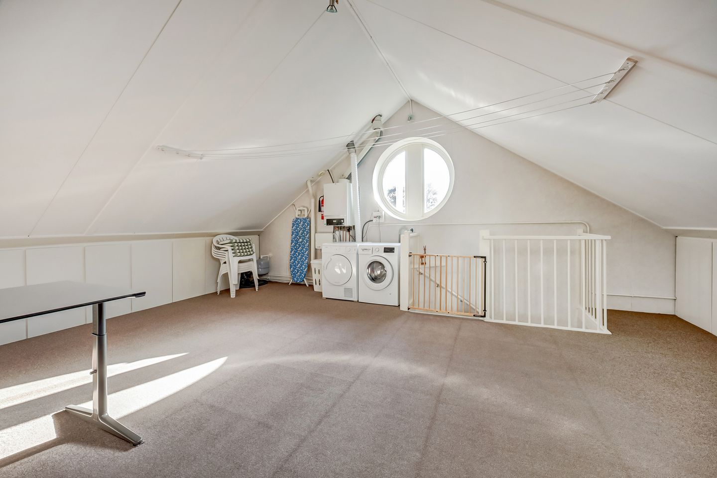 Foto 35 van Mantelmeeuw 14