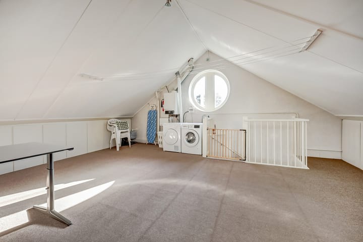 Foto 35 van Mantelmeeuw 14