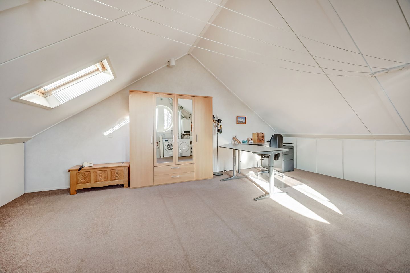 Foto 34 van Mantelmeeuw 14