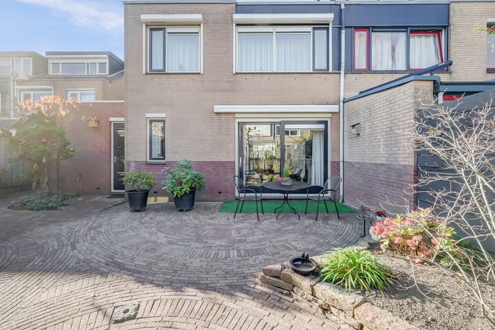 Foto 38 van Mantelmeeuw 14