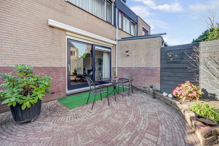 Foto 39 van Mantelmeeuw 14