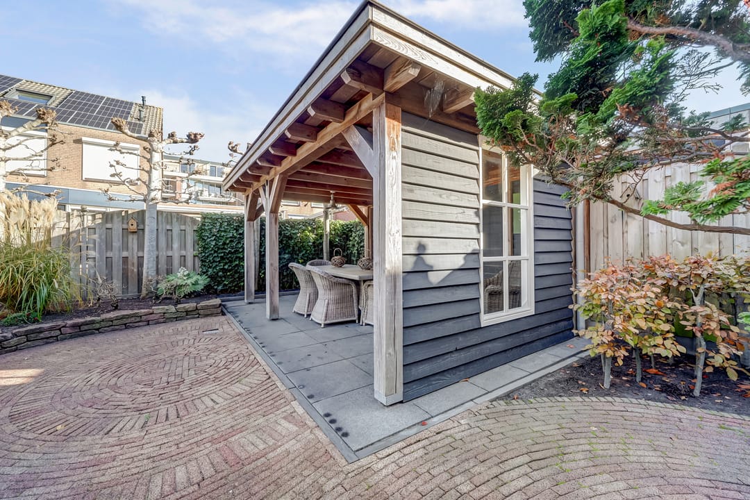 Foto 41 van Mantelmeeuw 14