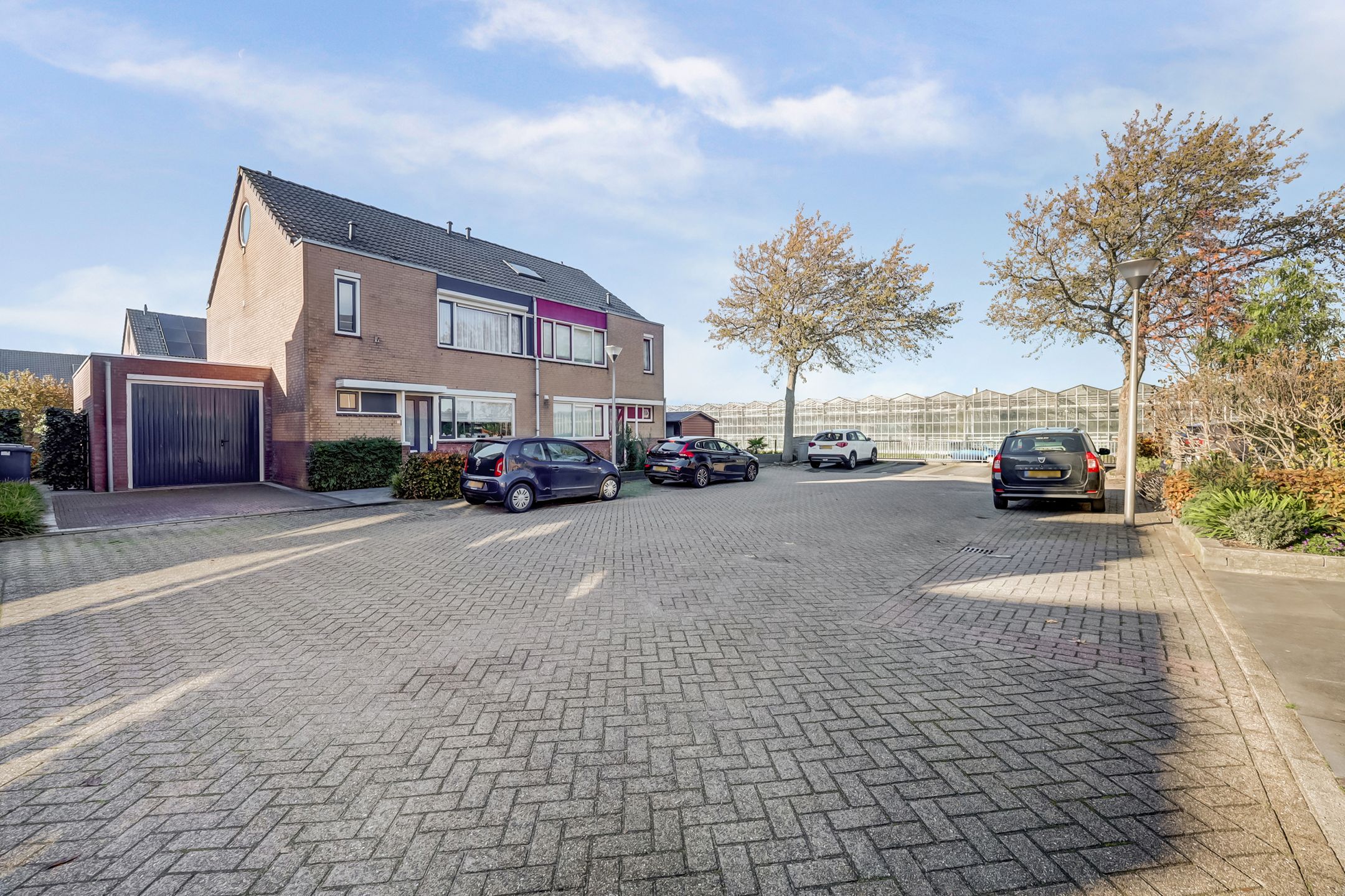 Foto 42 van Mantelmeeuw 14