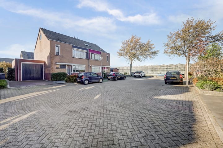 Foto 42 van Mantelmeeuw 14