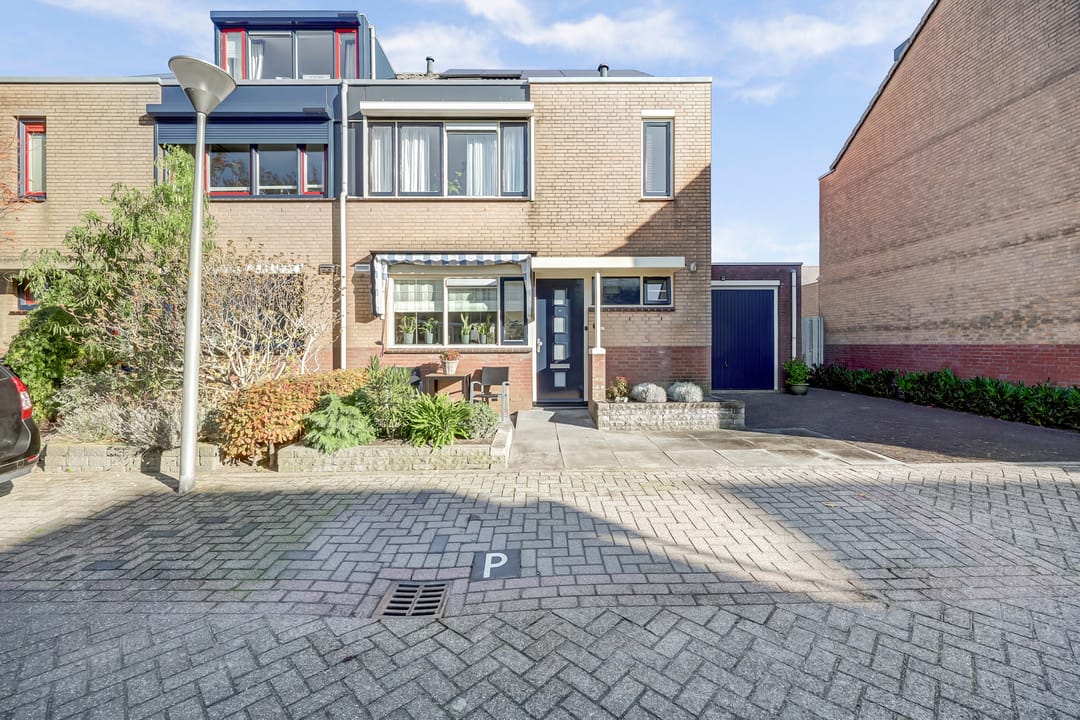 Foto 43 van Mantelmeeuw 14