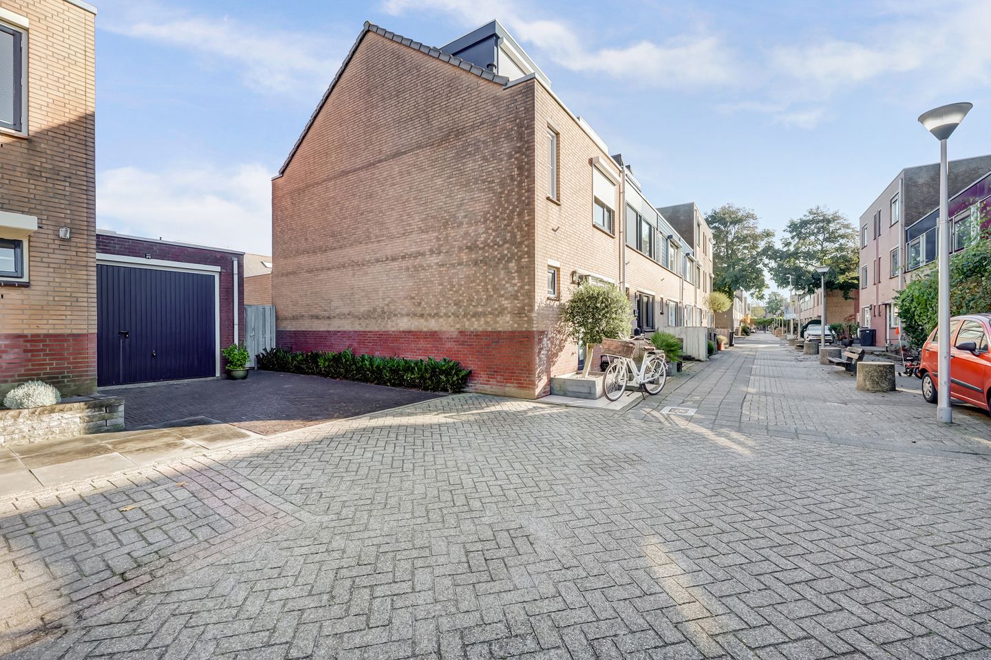 Foto 44 van Mantelmeeuw 14