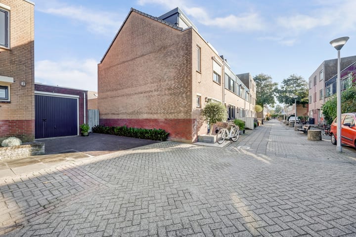 Foto 44 van Mantelmeeuw 14